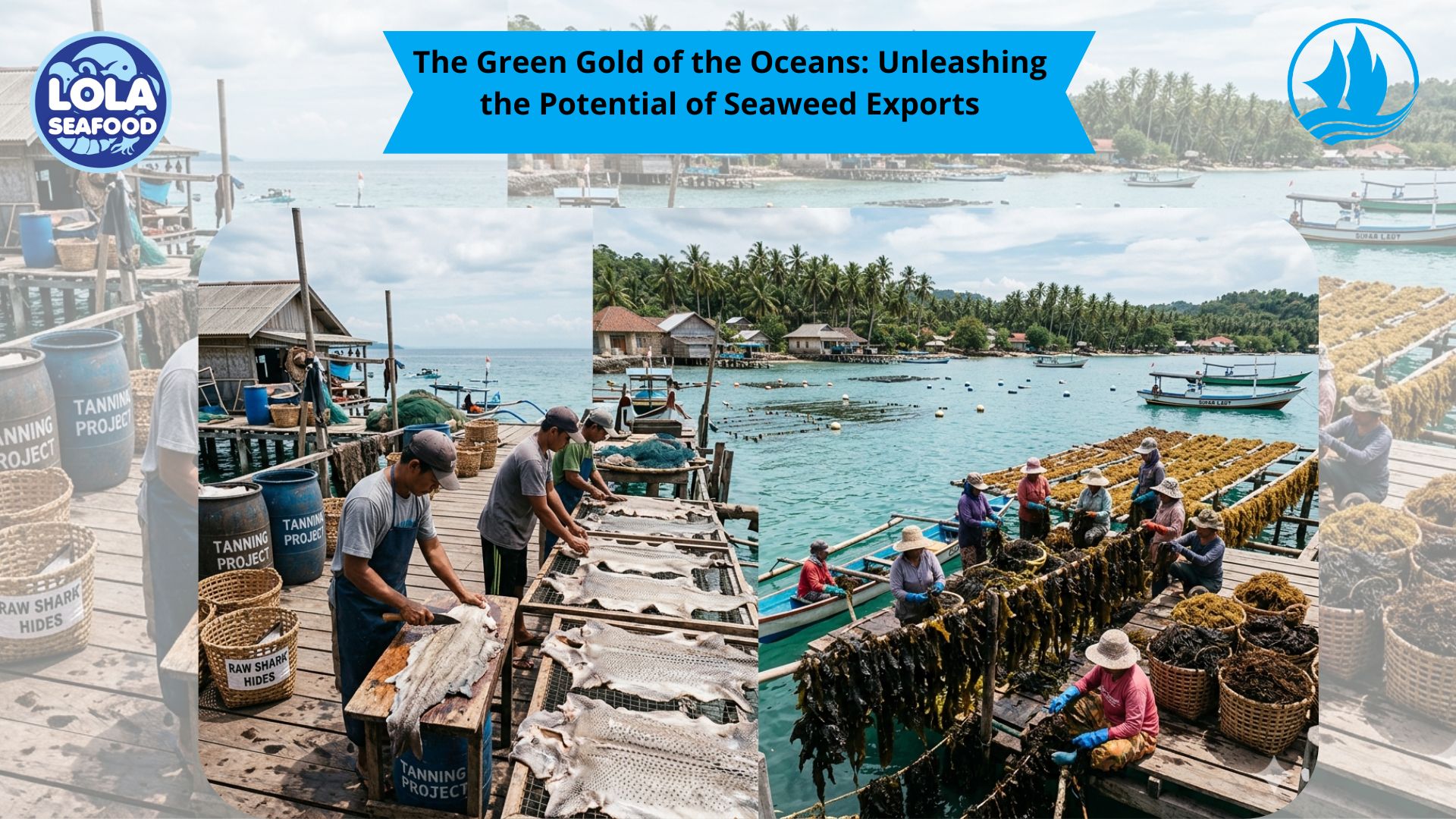 The Green Gold of the Oceans: Unleashing the Potential of Seaweed Exports